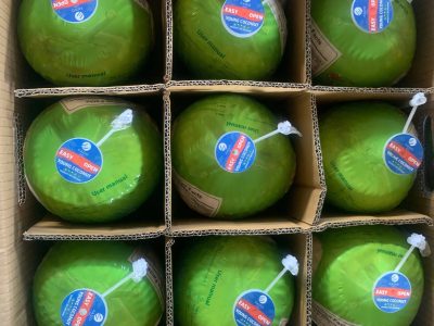 Importing Fresh Young Coconuts From Vietnam: A Complete B2B Buyer Guide